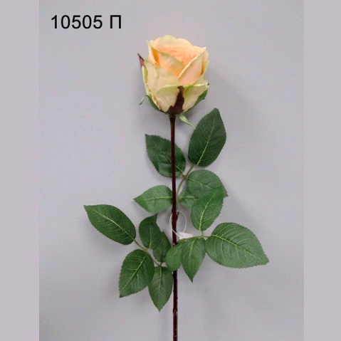 Роза Джесика, бутон (персик)